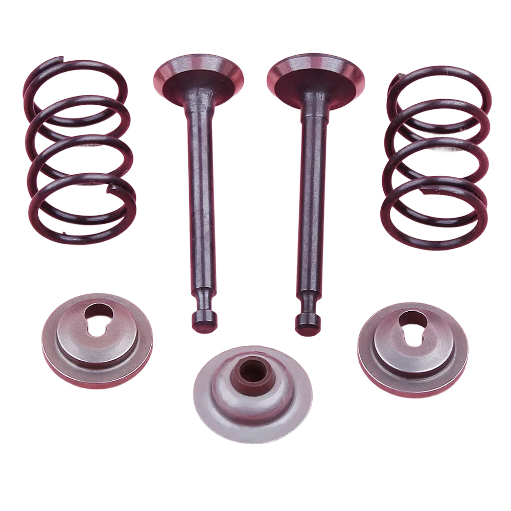 Kit de Válvulas de Admissão e Escape / Molas / Retentores e Selo para Honda GX25 HHT25S