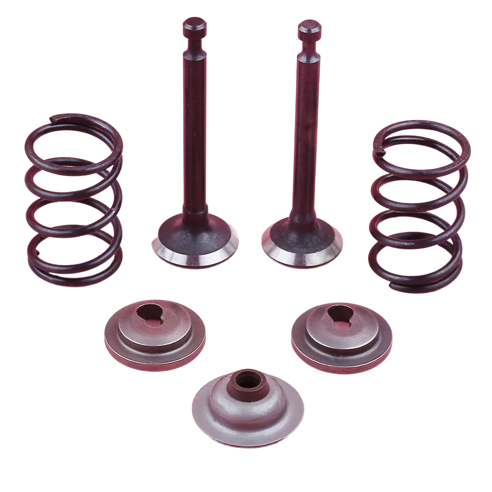 Kit de Válvulas de Admissão e Escape / Molas / Retentores e Selo para Honda GX25 HHT25S