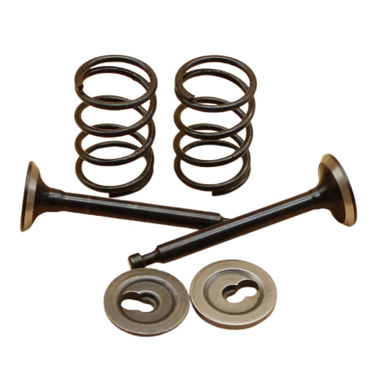 Kit Válvula Retentor da Mola para Roçadeiras Honda GX35 GX35NT