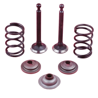 Kit de Válvulas de Admissão e Escape / Molas / Retentores e Selo para Honda GX25 HHT25S