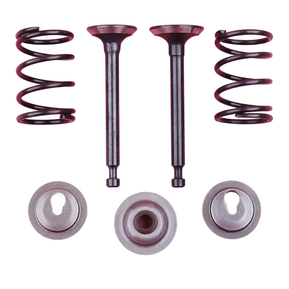 Kit de Válvulas de Admissão e Escape / Molas / Retentores e Selo para Honda GX25 HHT25S