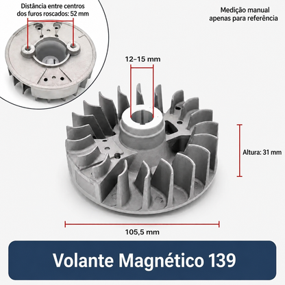 Volante Magnético e Bobina de Ignição para Motor 139F / 139-2 e Honda GX31 4 Tempos